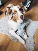 Hond die speelt en knuffelt met kalmerende ROSICCHIO knuffel met essentiële oliën