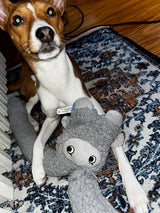 Hond die speelt met kalmerende ROSICCHIO knuffel met essentiële oliën