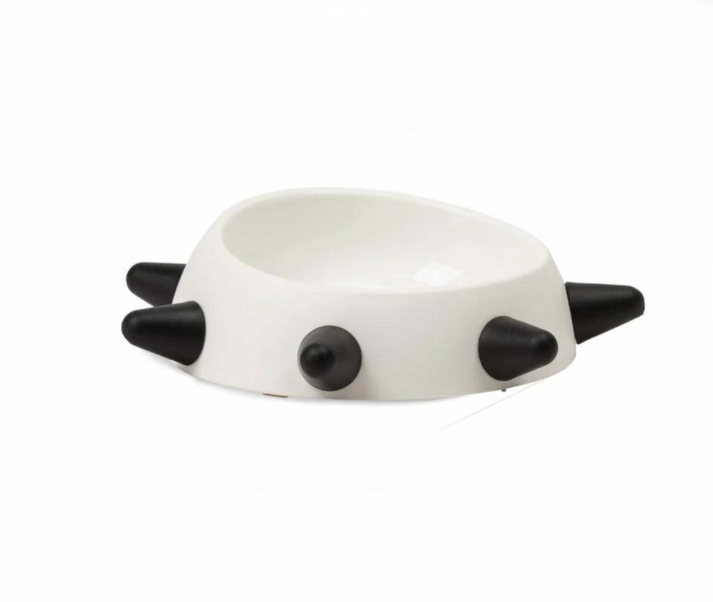 United Pets  Schuine Voerbak voor Honden  Cool Design uit Italië   Wehebbenallesinhuis.nl