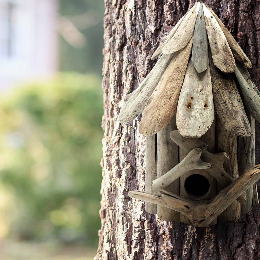 Uniek Drijfhout Vogelhuisje het Cadeau voor Tuinliefhebbers Handgemaakt en Duurzaam Kwaliteit van Gerecycled Hout Wehebbenallesinhuis