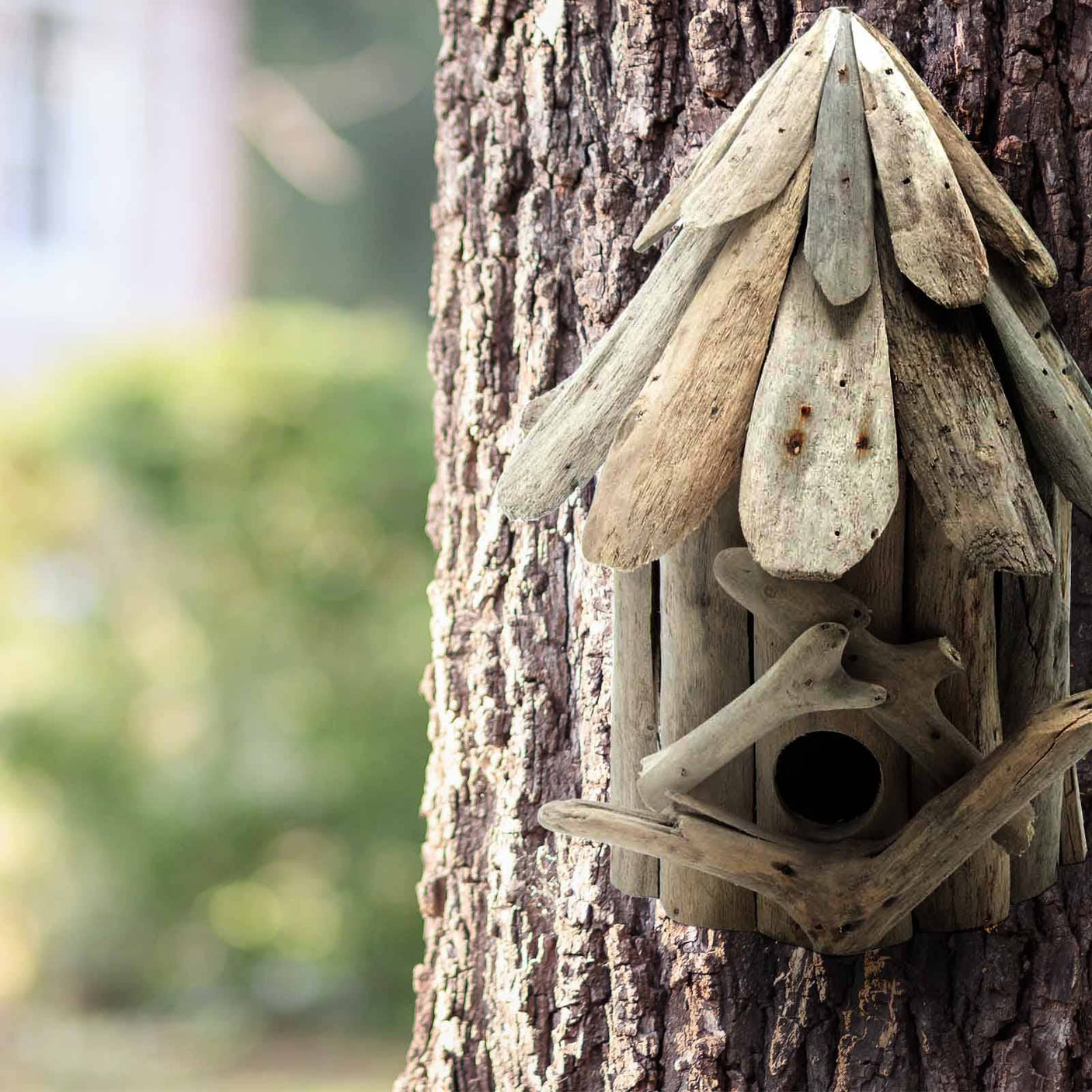 Uniek Drijfhout Vogelhuisje het Cadeau voor Tuinliefhebbers Handgemaakt en Duurzaam Kwaliteit van Gerecycled Hout Wehebbenallesinhuis