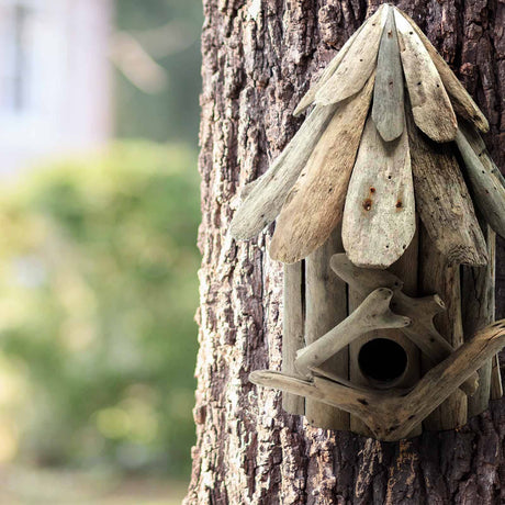 Uniek Drijfhout Vogelhuisje het Cadeau voor Tuinliefhebbers Handgemaakt en Duurzaam Kwaliteit van Gerecycled Hout Wehebbenallesinhuis