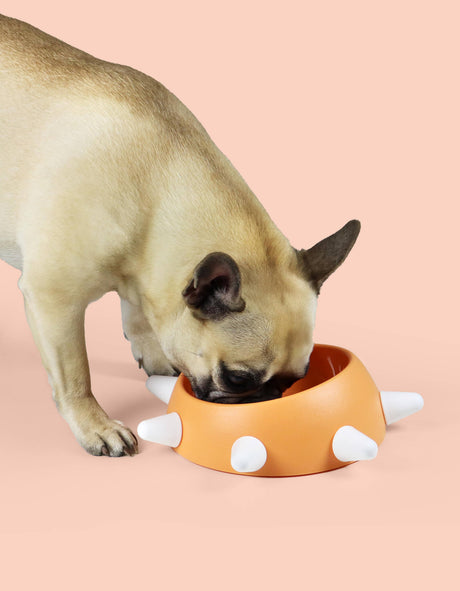 United pets Schuine Voerbak voor Honden cool Design uit Italie Wehebbenallesinhuis.nl oranje