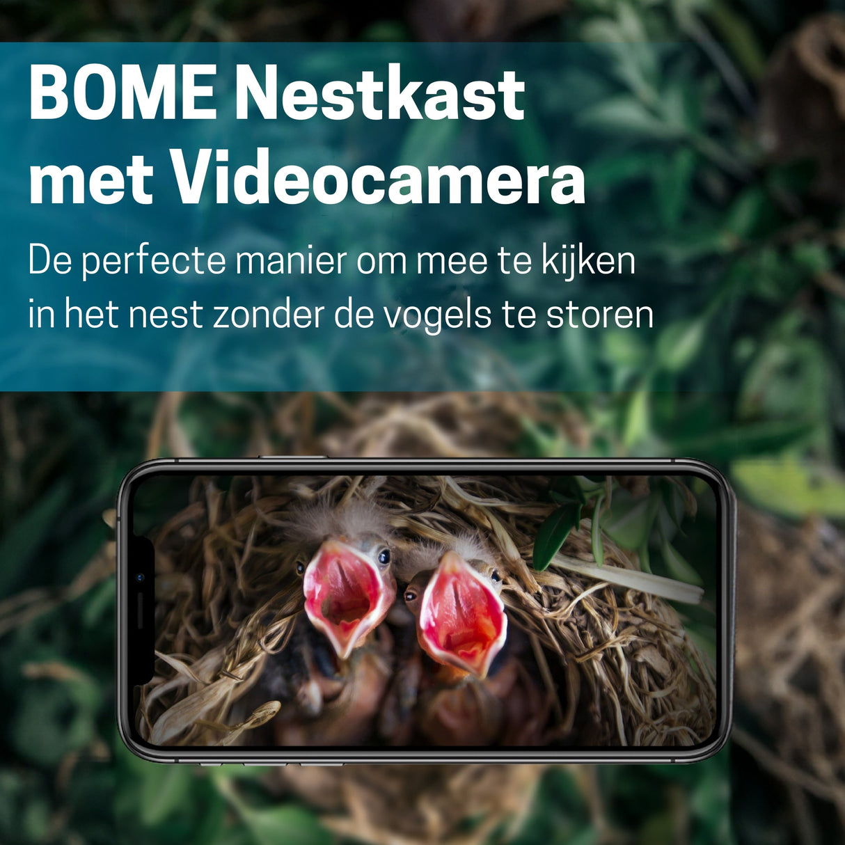 Vogelhuisje met Camera en Audio - Hout - Nestkastje - Ingebouwde Zonnepanelen