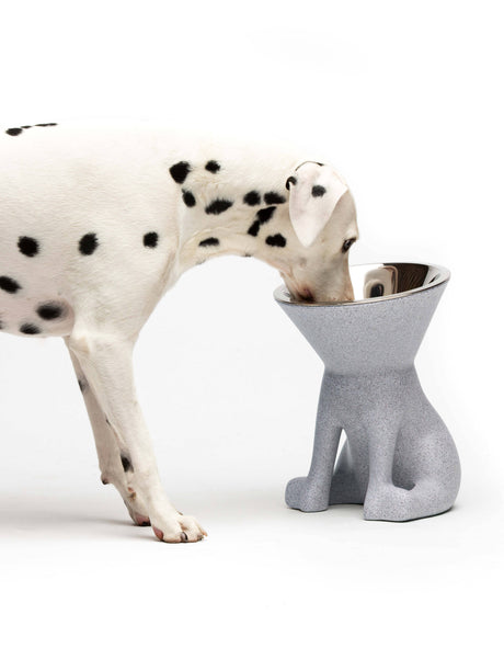 United Pets - Elizabeth Design Verhoogde Hondenvoerbak (1100 ml) - Voor de hondenliefhebber!