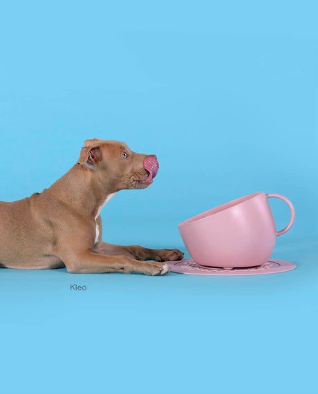 United Pets - Milieuvriendelijke hoge kom met anti-spatwater voor voedsel en water