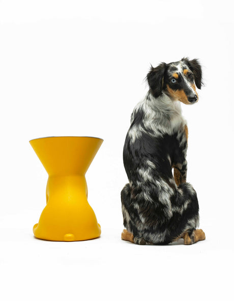 United Pets - Elizabeth Design Verhoogde Hondenvoerbak (1100 ml) - Voor de hondenliefhebber!