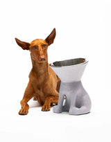 United Pets - Elizabeth Design Verhoogde Hondenvoerbak (1100 ml) - Voor de hondenliefhebber!