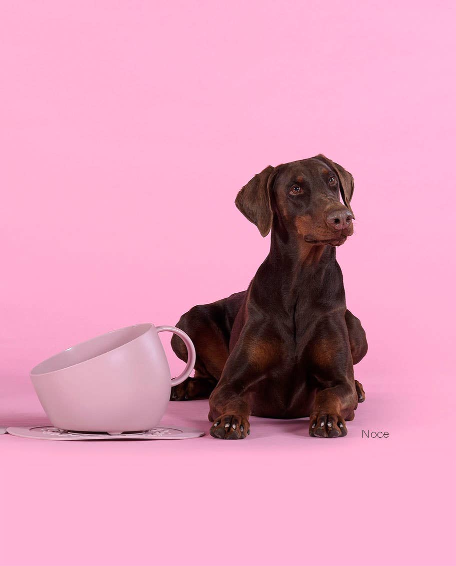 United Pets - Milieuvriendelijke hoge kom met anti-spatwater voor voedsel en water