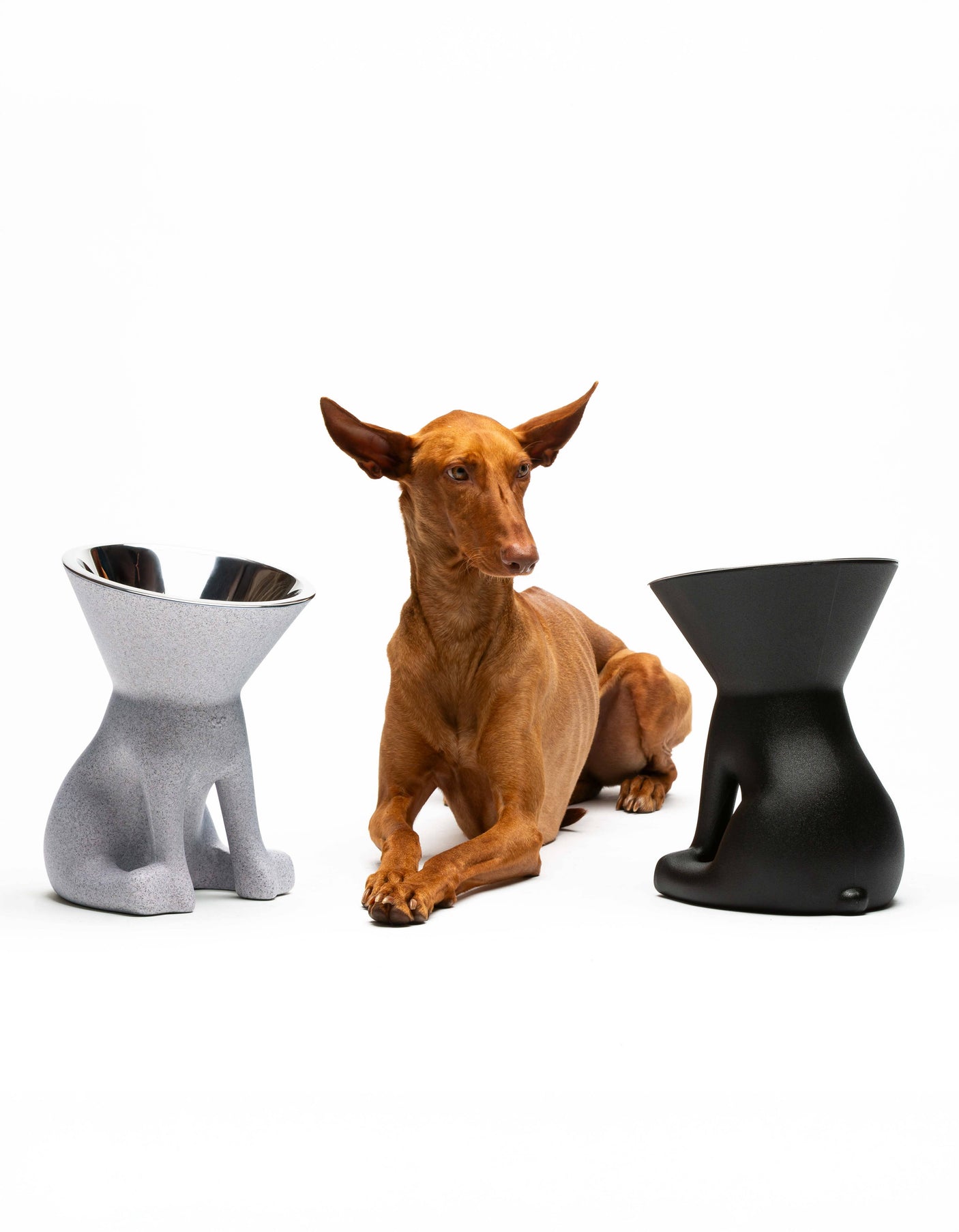 United Pets - Elizabeth Design Verhoogde Hondenvoerbak (1100 ml) - Voor de hondenliefhebber!