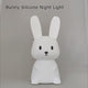 Actie Bedlampje Nachtlampje -Mijn naam is Bunny - USB oplaadbaar - met Timer