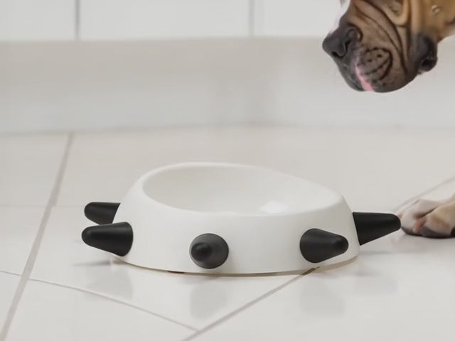 United Pets  Schuine Voerbak voor Honden  Cool Design uit Italië   Wehebbenallesinhuis.nl